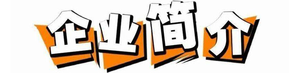 宏宁公司简介